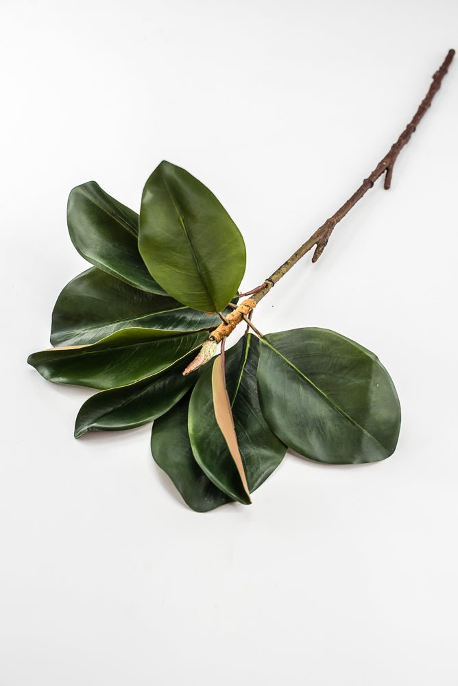 Artificial Green Magnolia Leaf Spray - 23" - Greenery MarketFL7450