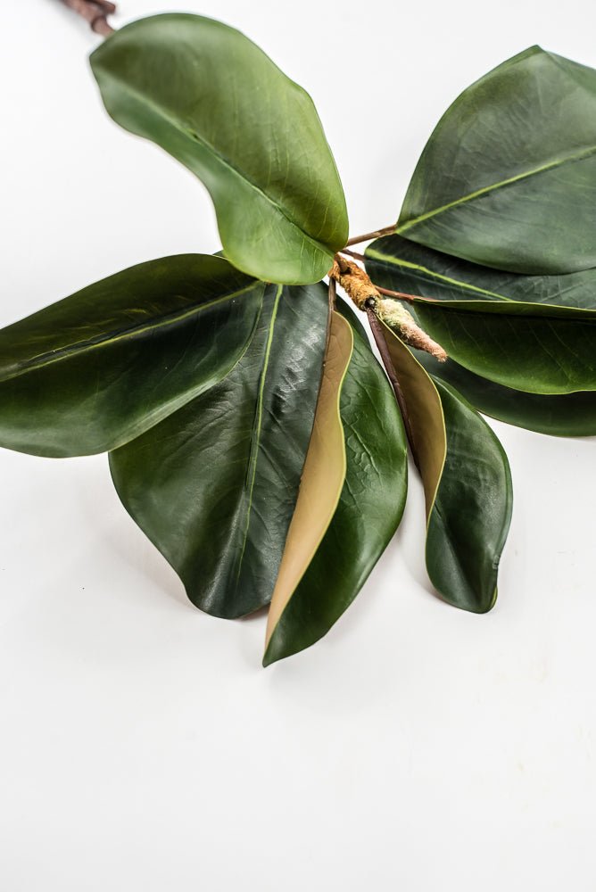 Artificial Green Magnolia Leaf Spray - 23" - Greenery MarketFL7450