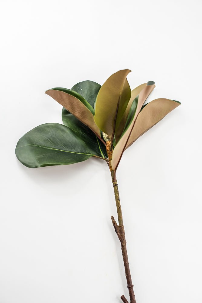 Artificial Green Magnolia Leaf Spray - 23" - Greenery MarketFL7450