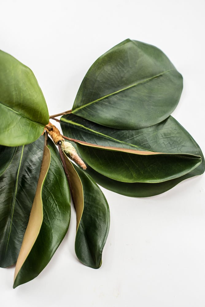 Artificial Green Magnolia Leaf Spray - 23" - Greenery MarketFL7450