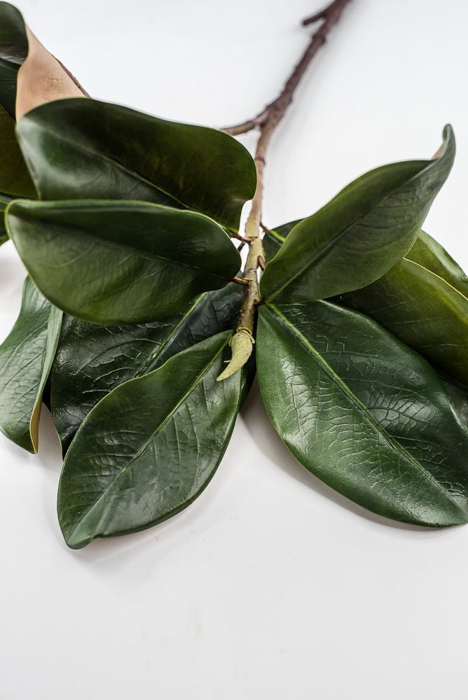 Artificial Green Magnolia Leaf Spray - 30" - Greenery MarketFL7451