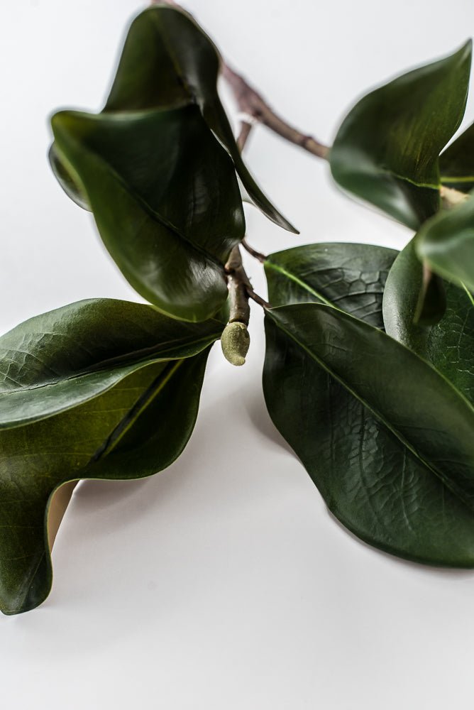 Artificial Green Magnolia Leaf Spray - 30" - Greenery MarketFL7451