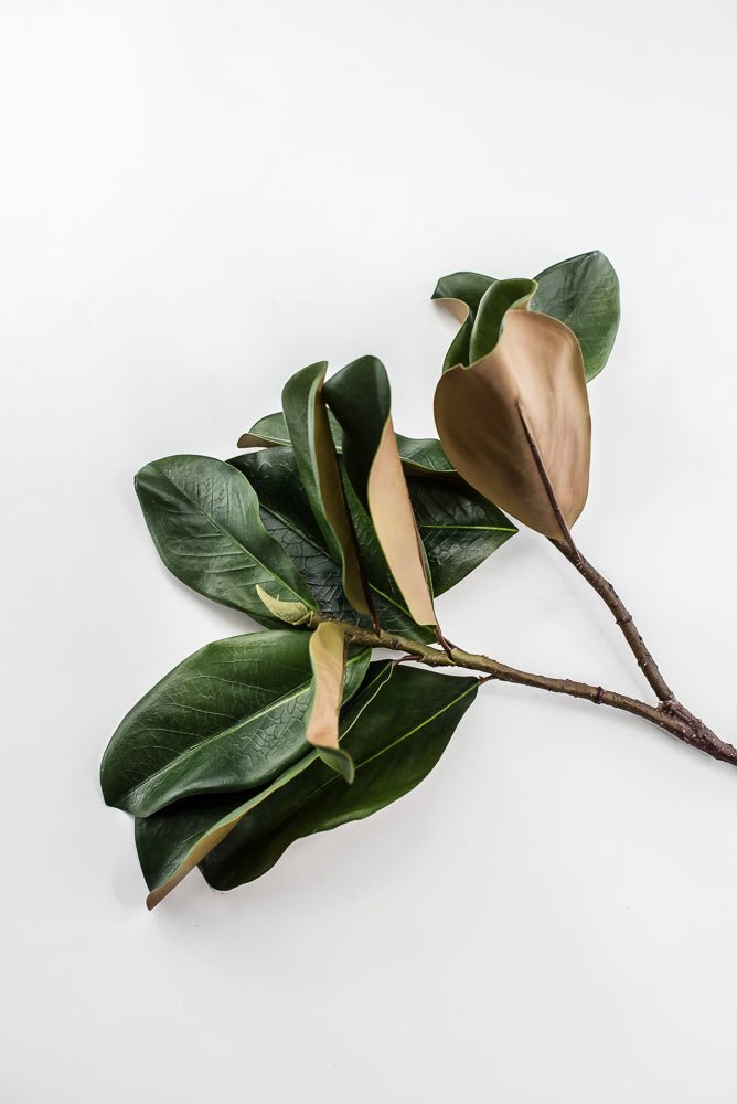 Artificial Green Magnolia Leaf Spray - 30" - Greenery MarketFL7451
