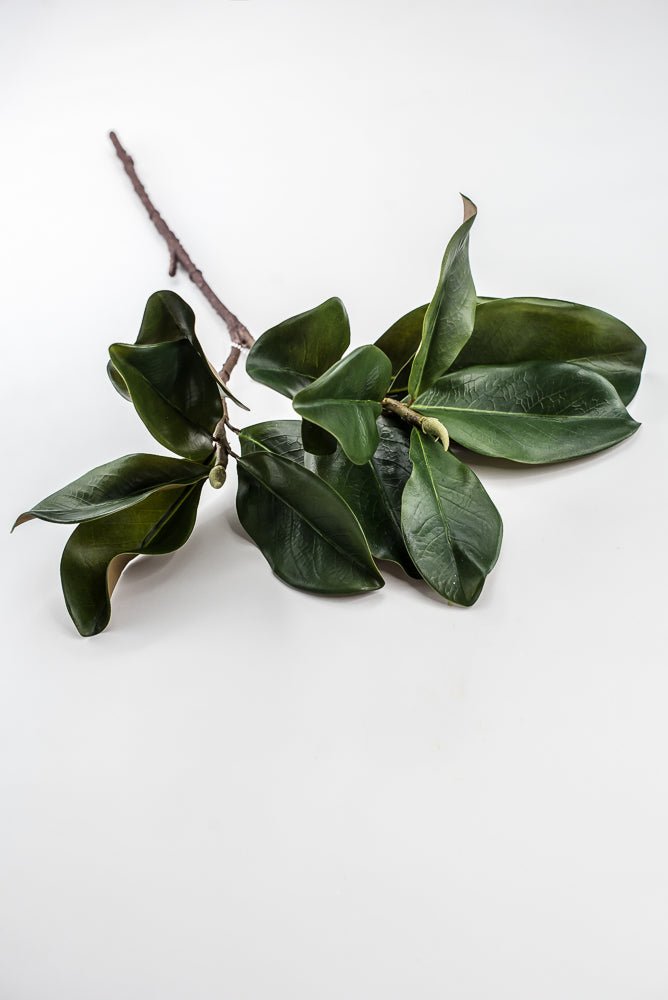 Artificial Green Magnolia Leaf Spray - 30" - Greenery MarketFL7451
