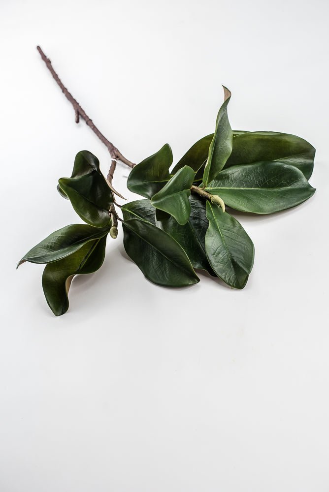 Artificial Green Magnolia Leaf Spray - 30" - Greenery MarketFL7451