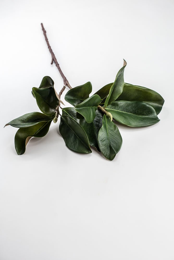 Artificial Green Magnolia Leaf Spray - 30" - Greenery MarketFL7451