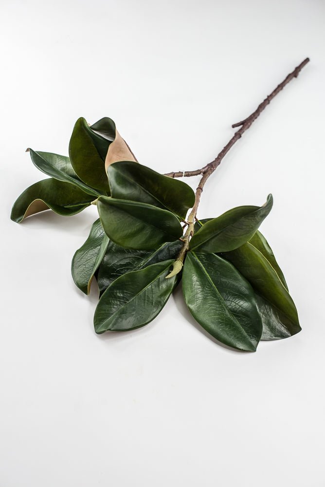 Artificial Green Magnolia Leaf Spray - 30" - Greenery MarketFL7451