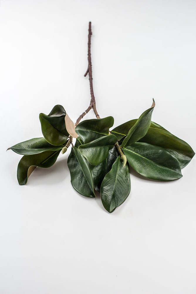 Artificial Green Magnolia Leaf Spray - 30" - Greenery MarketFL7451