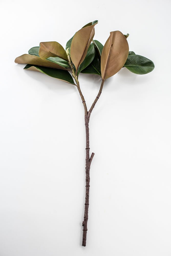 Artificial Green Magnolia Leaf Spray - 30" - Greenery MarketFL7451