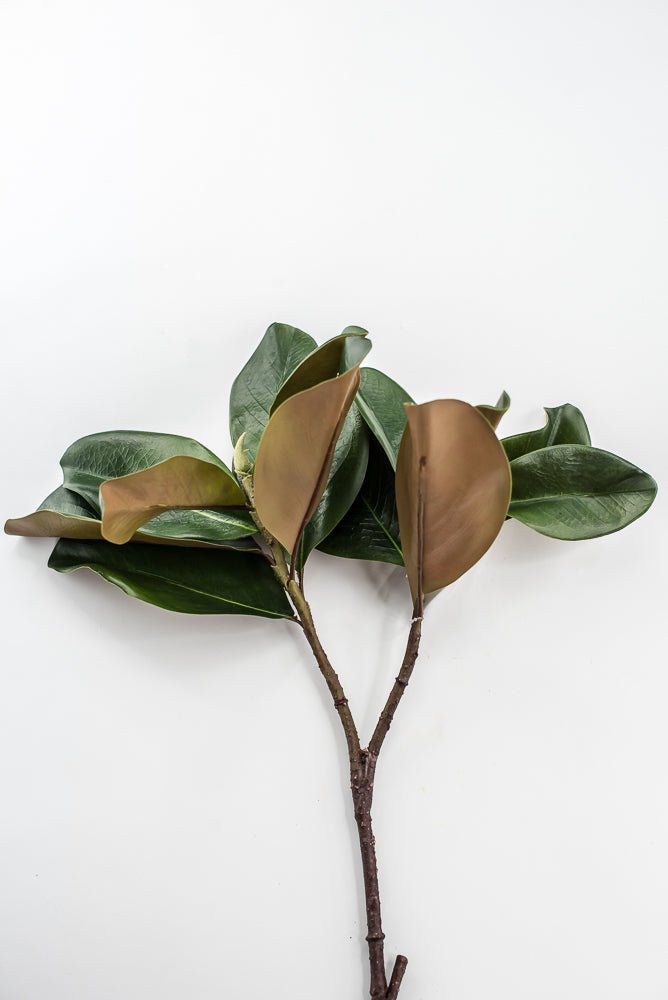 Artificial Green Magnolia Leaf Spray - 30" - Greenery MarketFL7451