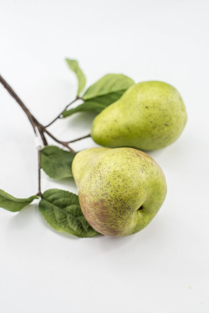 Artificial Green Pear Branch Pick - 10" - Greenery MarketF546-G