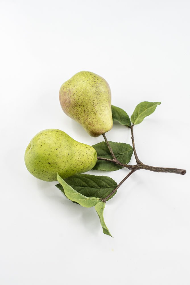 Artificial Green Pear Branch Pick - 10" - Greenery MarketF546-G