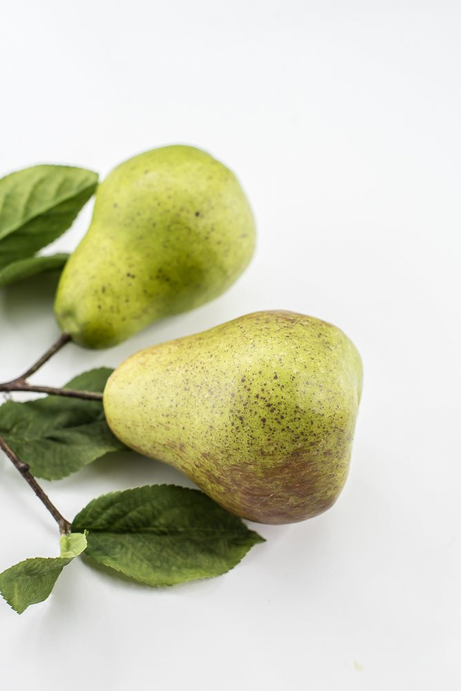 Artificial Green Pear Branch Pick - 10" - Greenery MarketF546-G