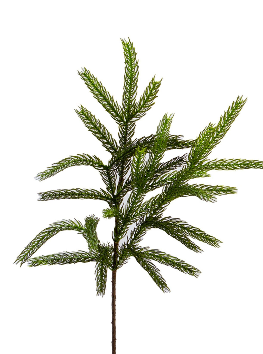Artificial, Green Sitka Branch - 27" - Greenery Market2825260GR