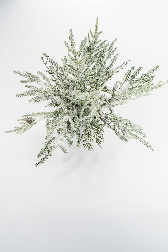 Artificial Green & White Snowy Pine Container - 15" - Greenery MarketArtificial FloraXP2821-GW