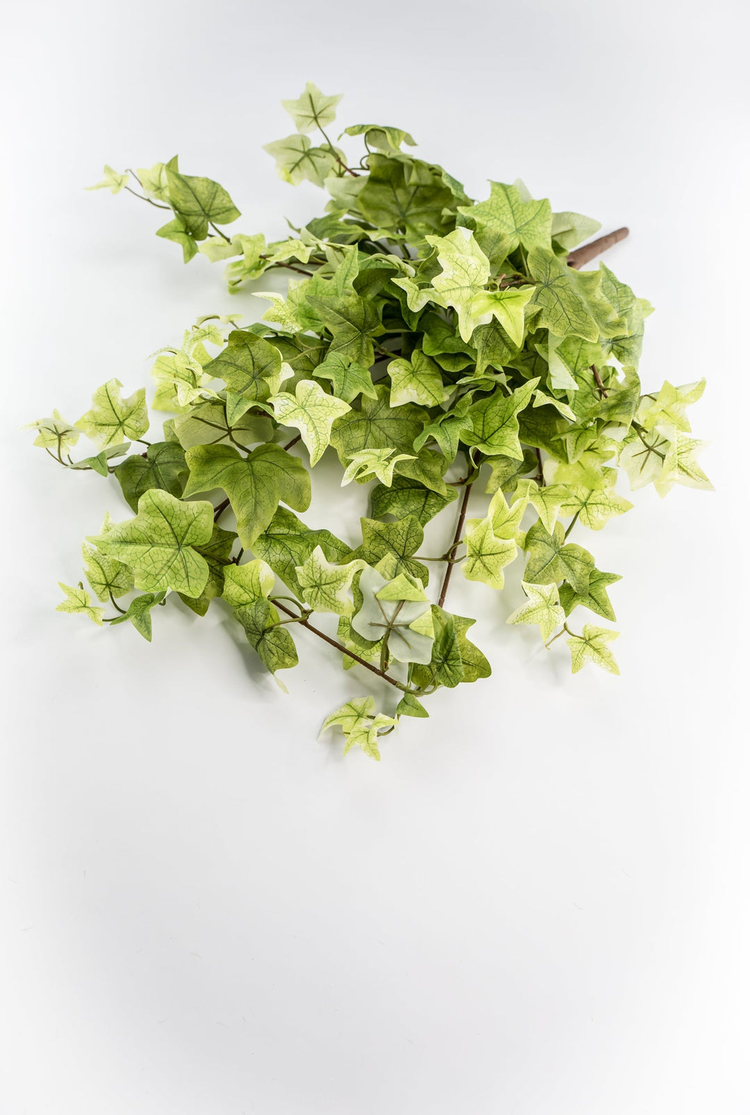 long hanging ivy plant Artificial, hanging, Ivy bush