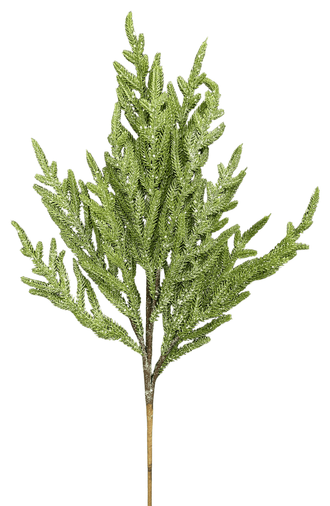 Artificial Ice Norfolk Pine Spray - 26" - Greenery Market86821ICE