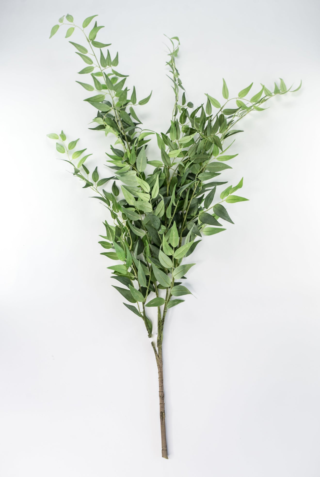 Artificial Italian Ruscus Bush - Greenery Market