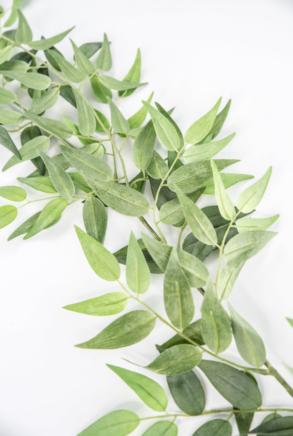Artificial Italian Ruscus Spray -49” - Greenery Market