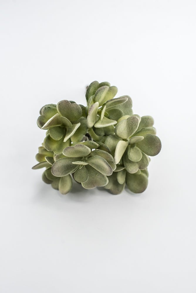 Artificial Jade Succulent Pick - Gray Green - Greenery MarketMTF24474 GREY