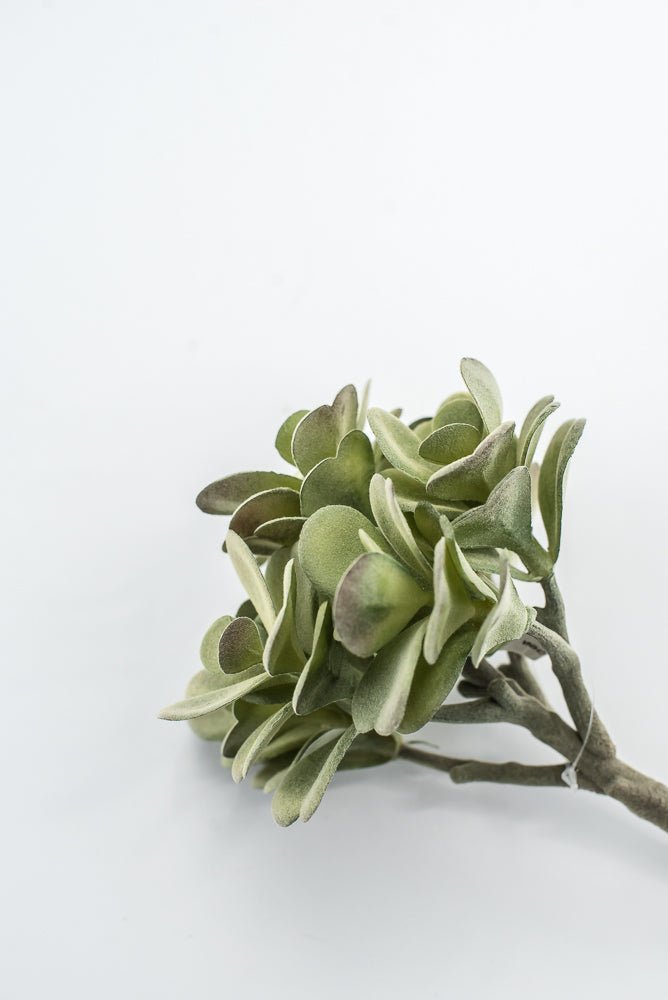 Artificial Jade Succulent Pick - Gray Green - Greenery MarketMTF24474 GREY