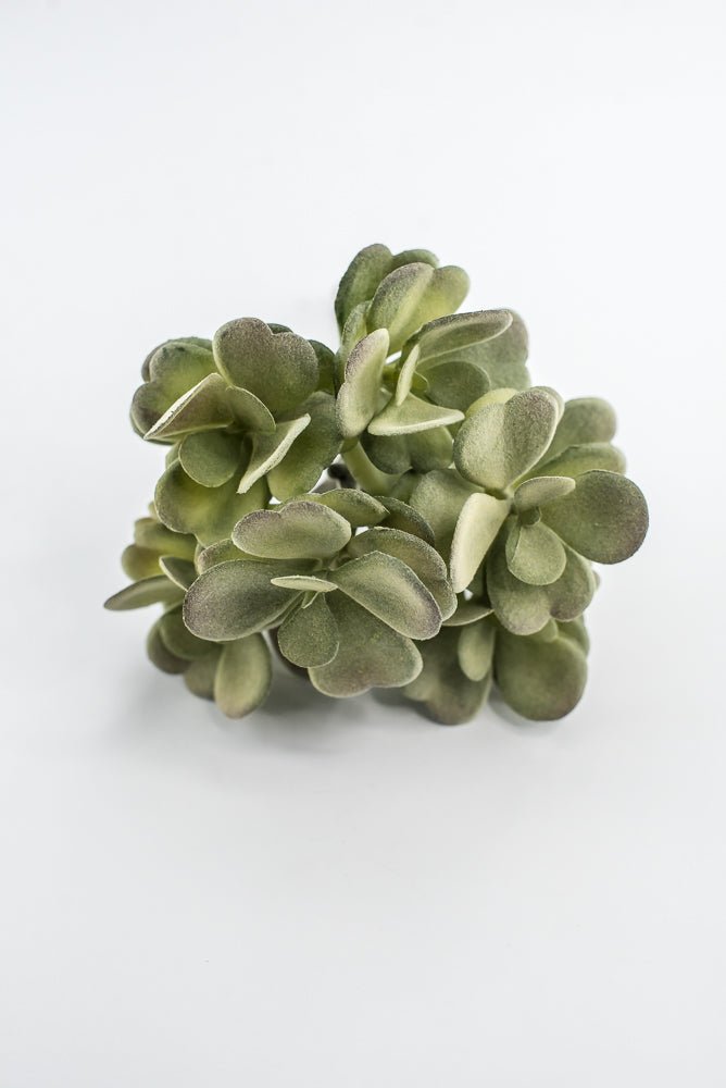 Artificial Jade Succulent Pick - Gray Green - Greenery MarketMTF24474 GREY