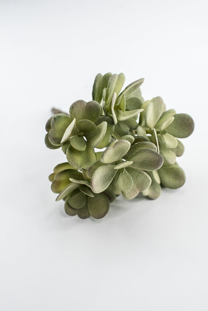 Artificial Jade Succulent Pick - Gray Green - Greenery MarketMTF24474 GREY