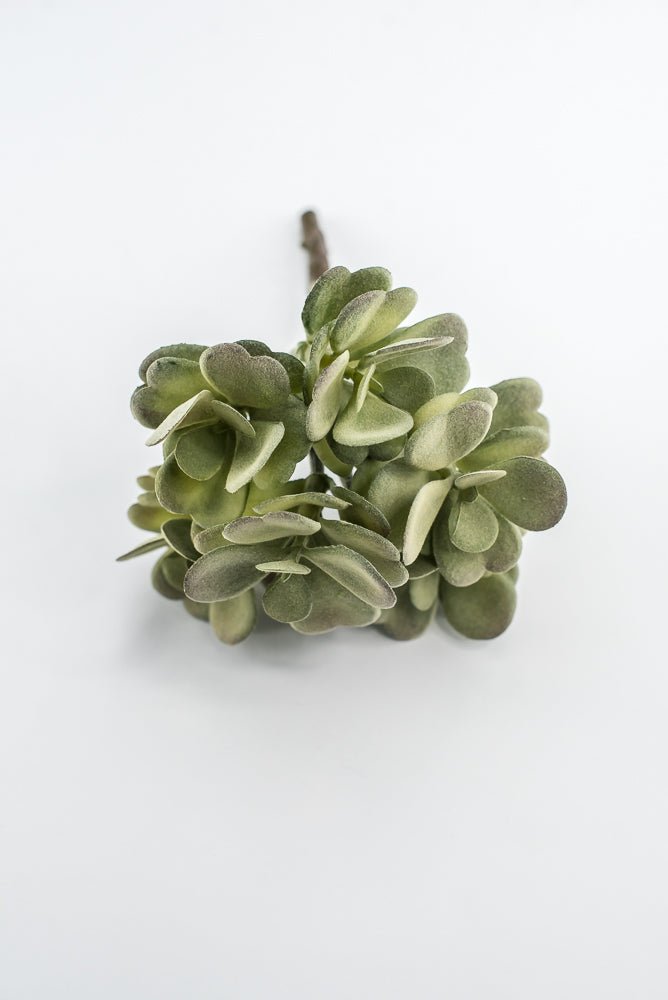 Artificial Jade Succulent Pick - Gray Green - Greenery MarketMTF24474 GREY
