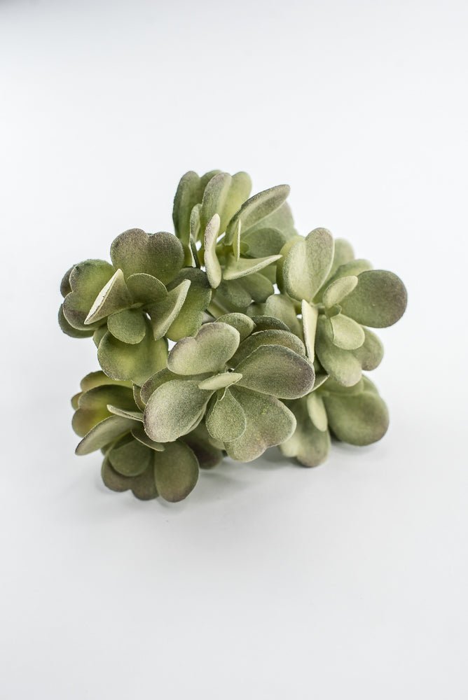Artificial Jade Succulent Pick - Gray Green - Greenery MarketMTF24474 GREY