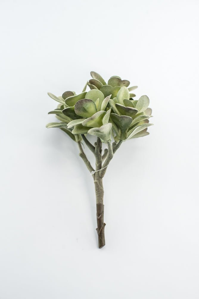 Artificial Jade Succulent Pick - Gray Green - Greenery MarketMTF24474 GREY