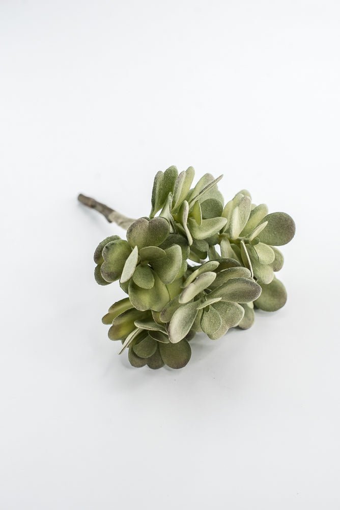 Artificial Jade Succulent Pick - Gray Green - Greenery MarketMTF24474 GREY