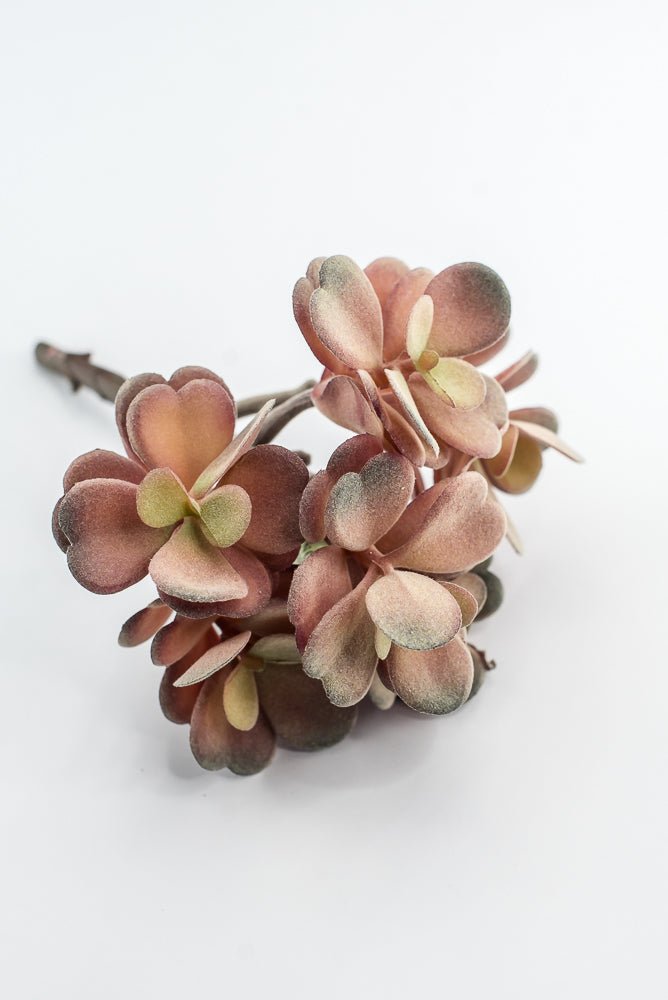 Artificial Jade Succulent Pick - Pink - Greenery MarketMTF24474 DERO