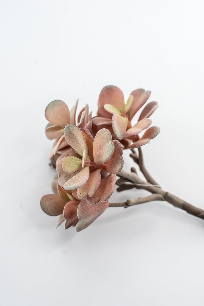 Artificial Jade Succulent Pick - Pink - Greenery MarketMTF24474 DERO