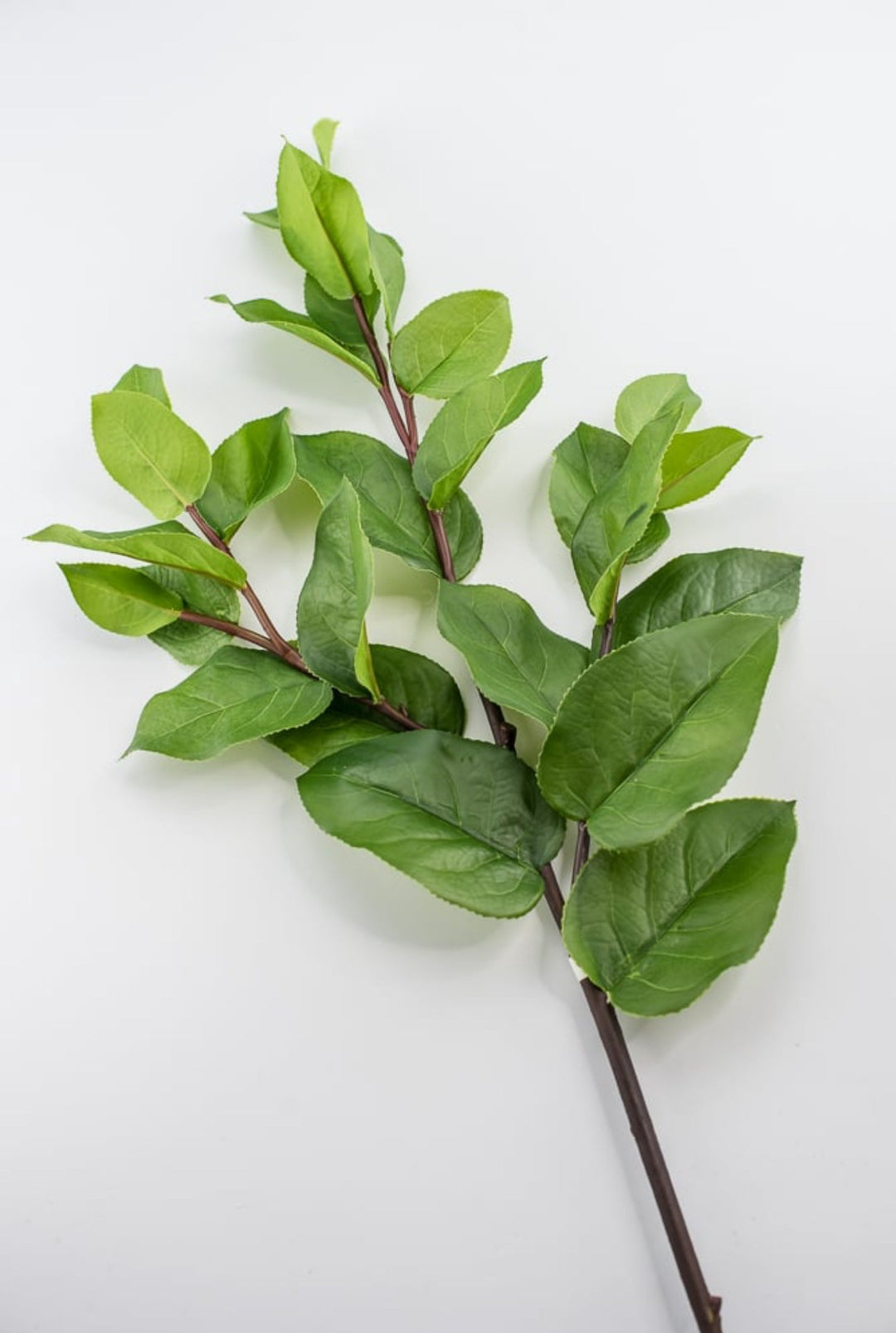 Artificial, lemon leaf, spray - Greenery Market2330046GR