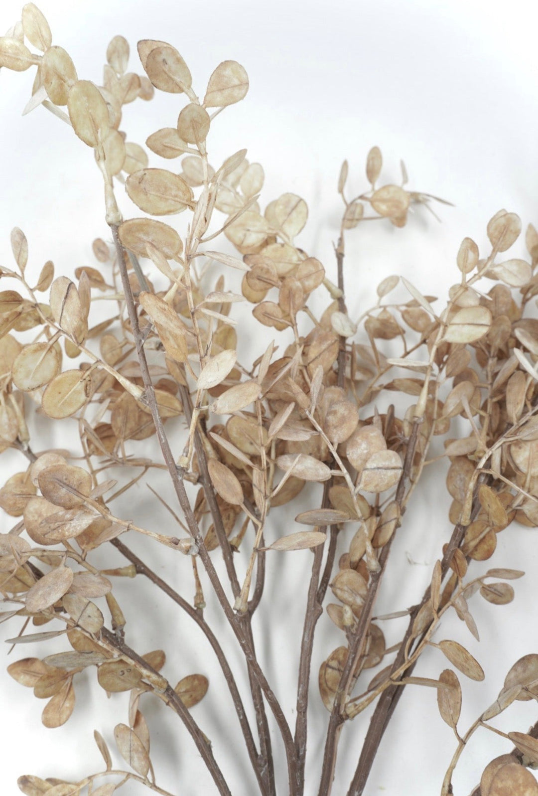 Artificial Light Brown Eucalyptus Bundle - 28" - Greenery Market2751116BR