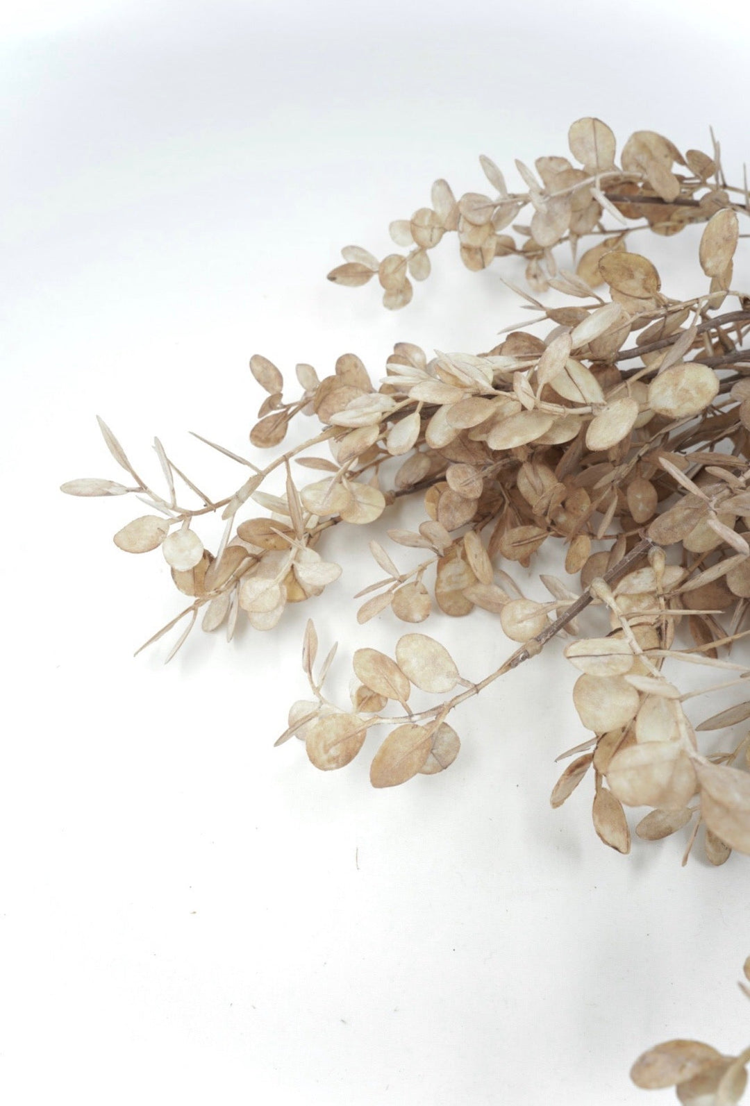 Artificial Light Brown Eucalyptus Bundle - 28" - Greenery Market2751116BR