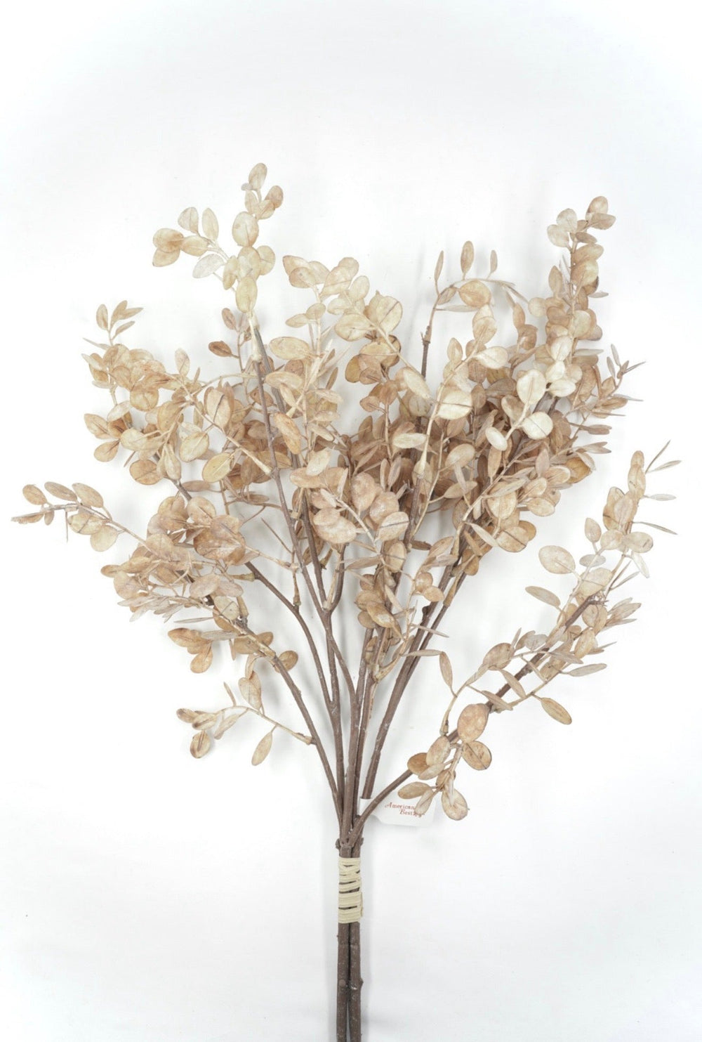 Artificial Light Brown Eucalyptus Bundle - 28" - Greenery Market2751116BR
