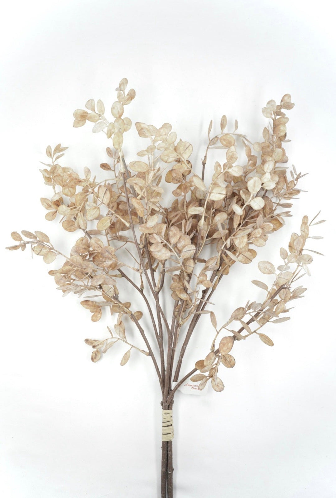 Artificial Light Brown Eucalyptus Bundle - 28" - Greenery Market2751116BR