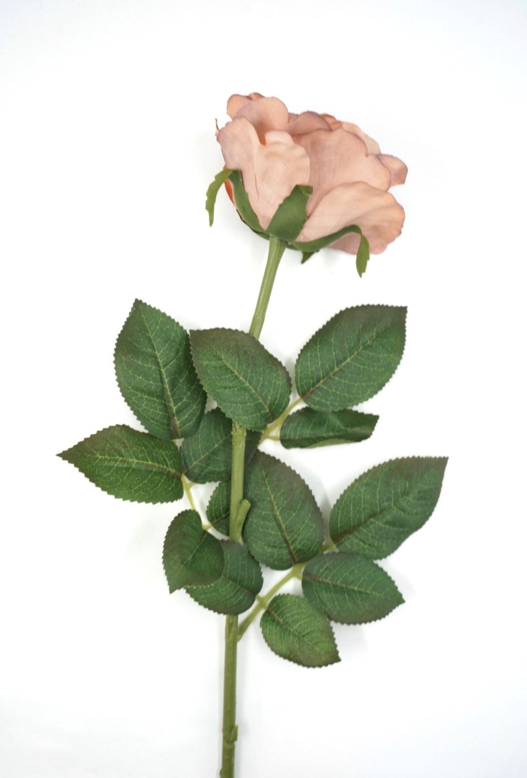 Artificial, Light Brown Rose Stem - 28" - Greenery Market2221043LB