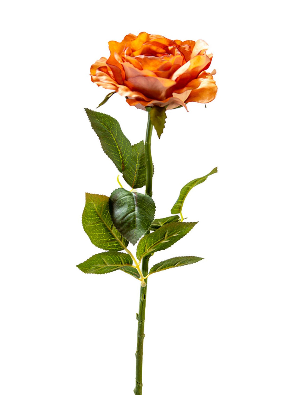 Artificial, Light Brown Rose Stem - 28" - Greenery Market2221043LB