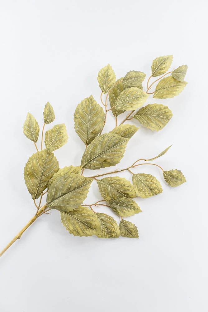 Artificial Light Green Beech Leaf Spray - 30.5" - Greenery MarketArtificial Flora40488-LT.GN