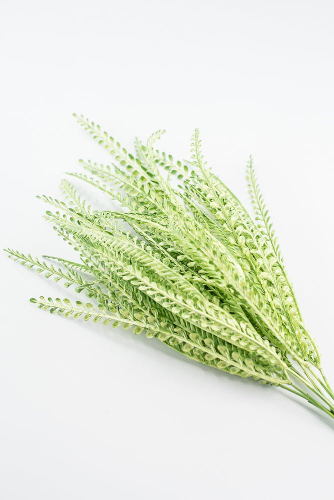 Artificial, Light Green, Button Leaves & Sword Fern Bush - 19" - Greenery MarketArtificial Flora57495GN