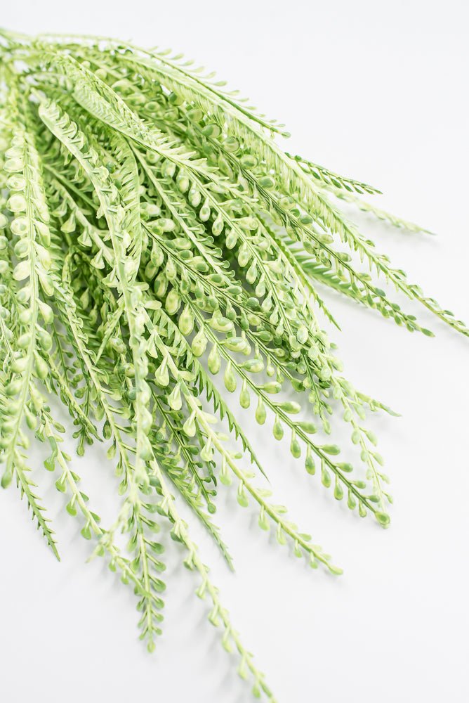 Artificial, Light Green, Button Leaves & Sword Fern Bush - 19" - Greenery MarketArtificial Flora57495GN
