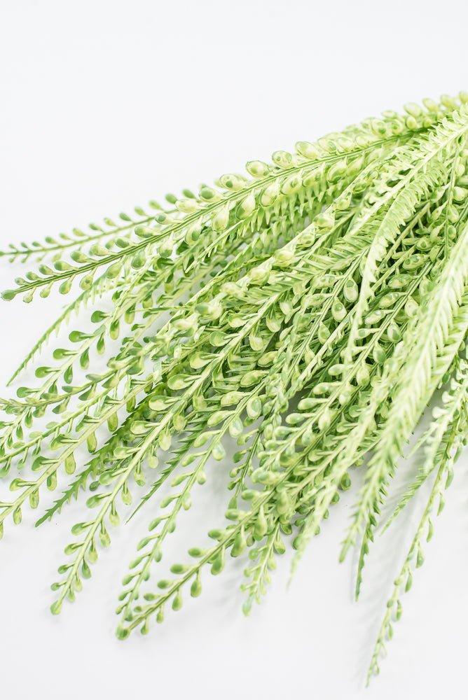 Artificial, Light Green, Button Leaves & Sword Fern Bush - 19" - Greenery MarketArtificial Flora57495GN