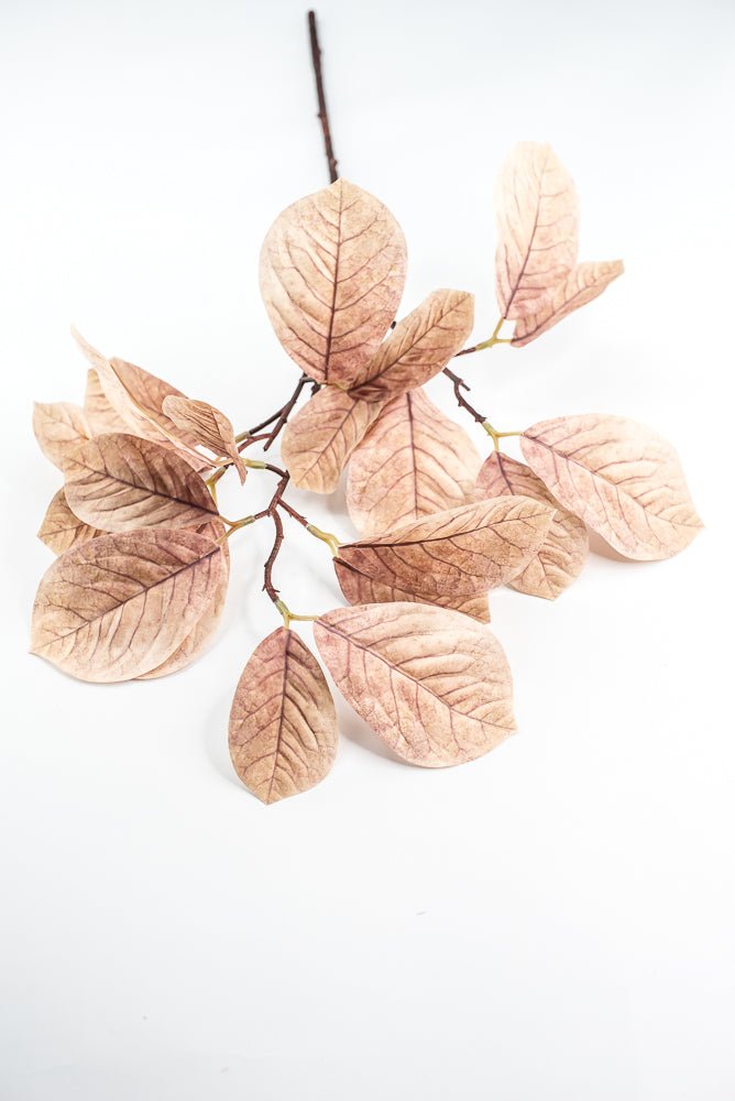 Artificial Magnolia Leaves Spray - beige brown - Greenery MarketArtificial Flora85320 - BEIGE