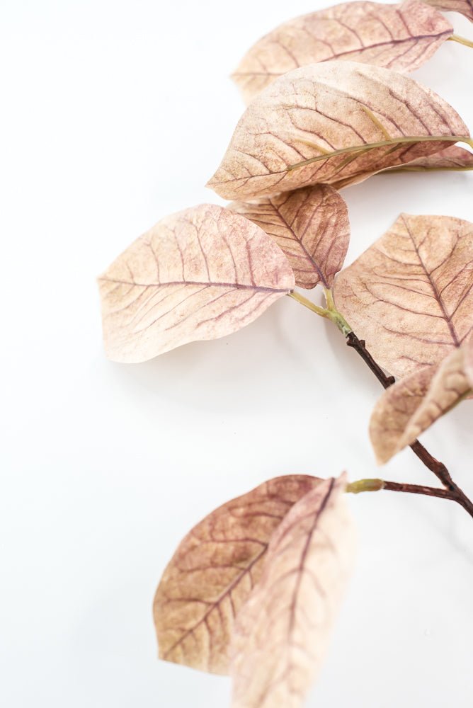 Artificial Magnolia Leaves Spray - beige brown - Greenery MarketArtificial Flora85320 - BEIGE