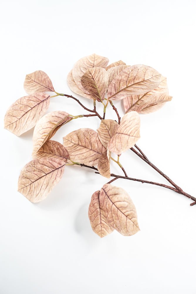Artificial Magnolia Leaves Spray - beige brown - Greenery MarketArtificial Flora85320 - BEIGE
