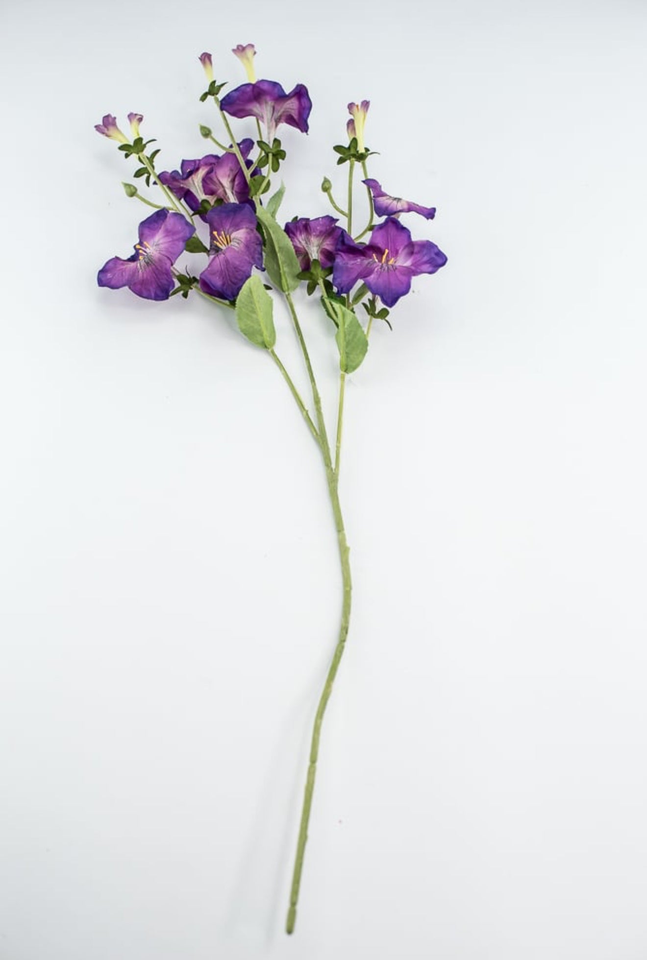 Artificial, Morning Glory Spray - purple - Greenery Market