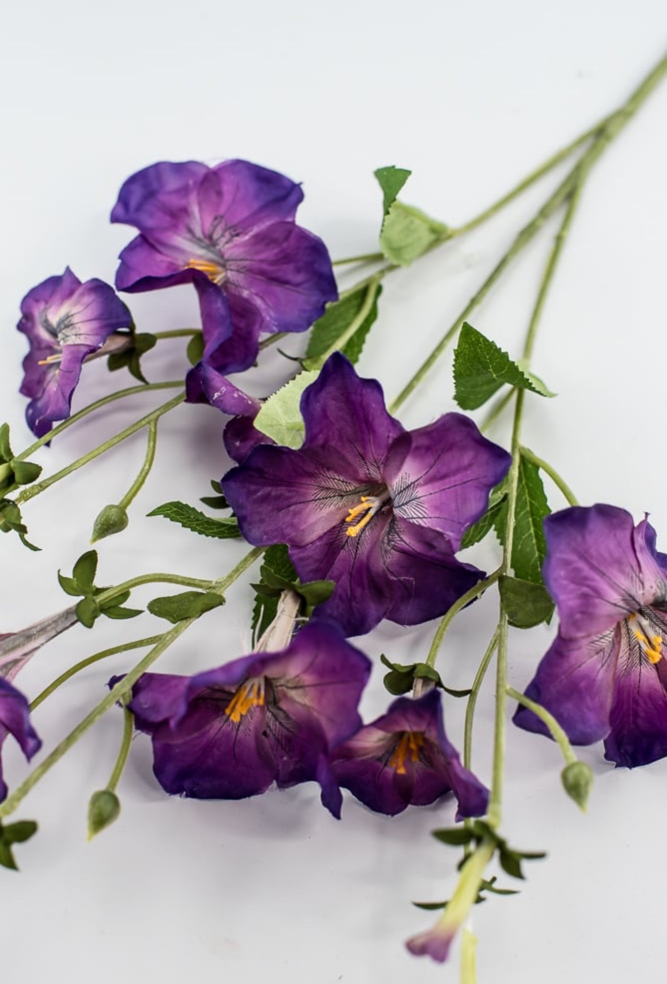 Artificial, Morning Glory Spray - purple - Greenery Market