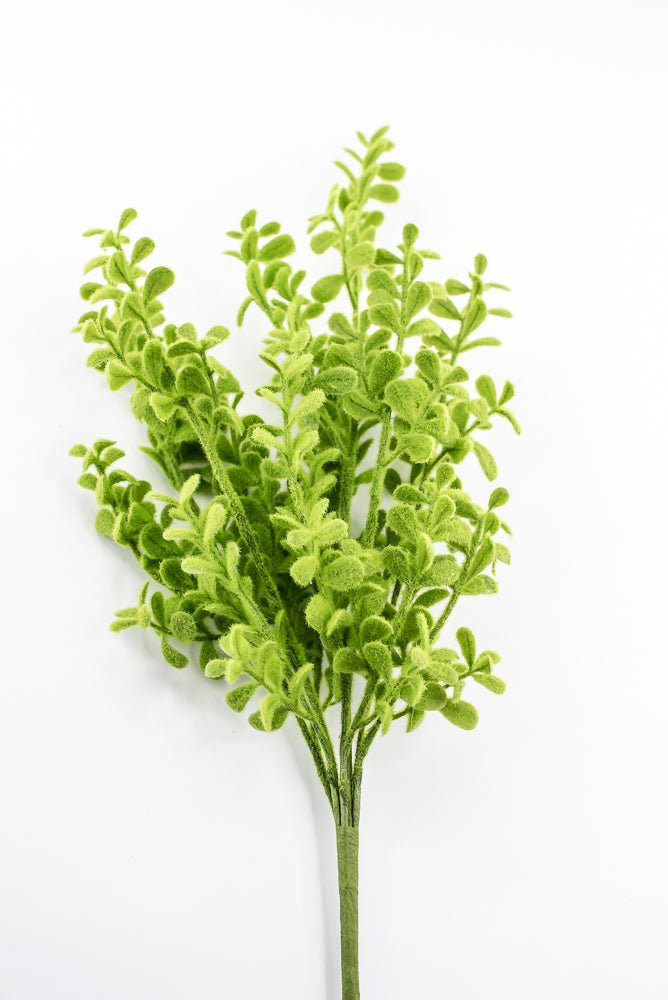 Artificial, Mossed, Boxwood Bush - Greenery Market13611GN